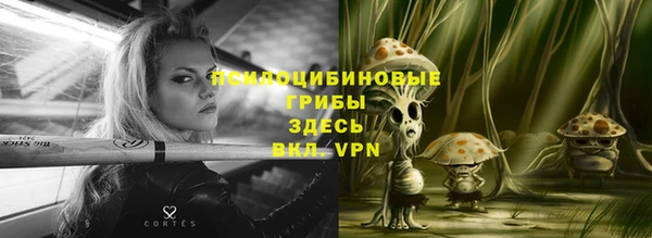 стаф Арсеньев