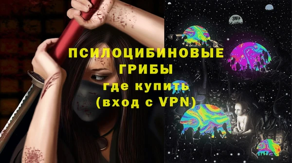 стаф Арсеньев